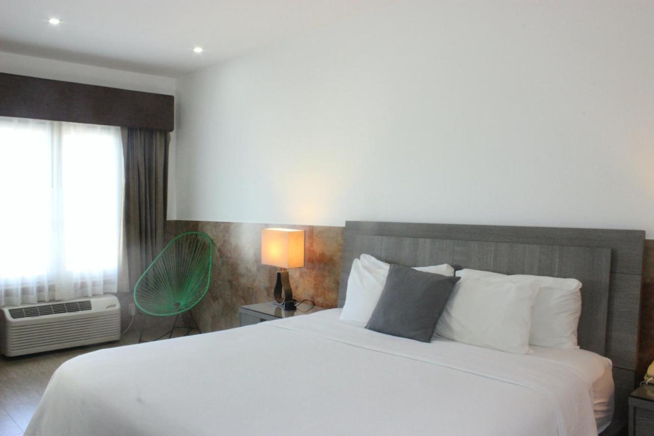 Beverly Hills: Hotel And Business Nuevo Cuscatlan Eksteriør bilde